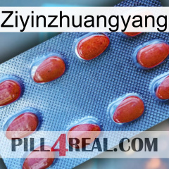 Ziyinzhuangyang 06